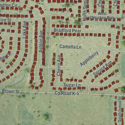 Second close-up of the map of Clever, Missouri print showing more streets and buildings