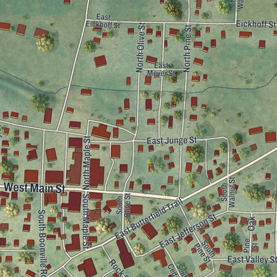 Close-up of the map of Cole Camp, Missouri print showing street and building detail