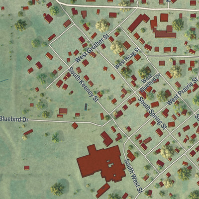 Second close-up of the map of Cole Camp, Missouri print showing more streets and buildings