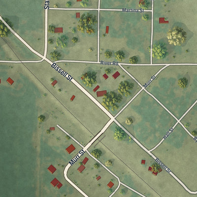 Close-up of the map of Corning, Missouri print showing street and building detail