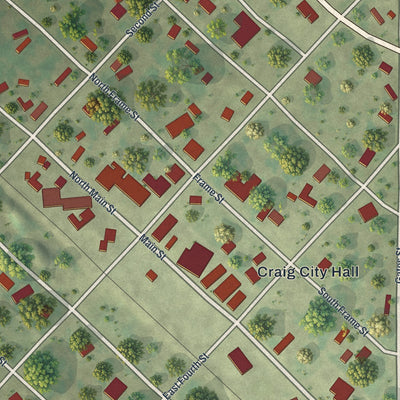 Close-up of the map of Craig, Missouri print showing street and building detail