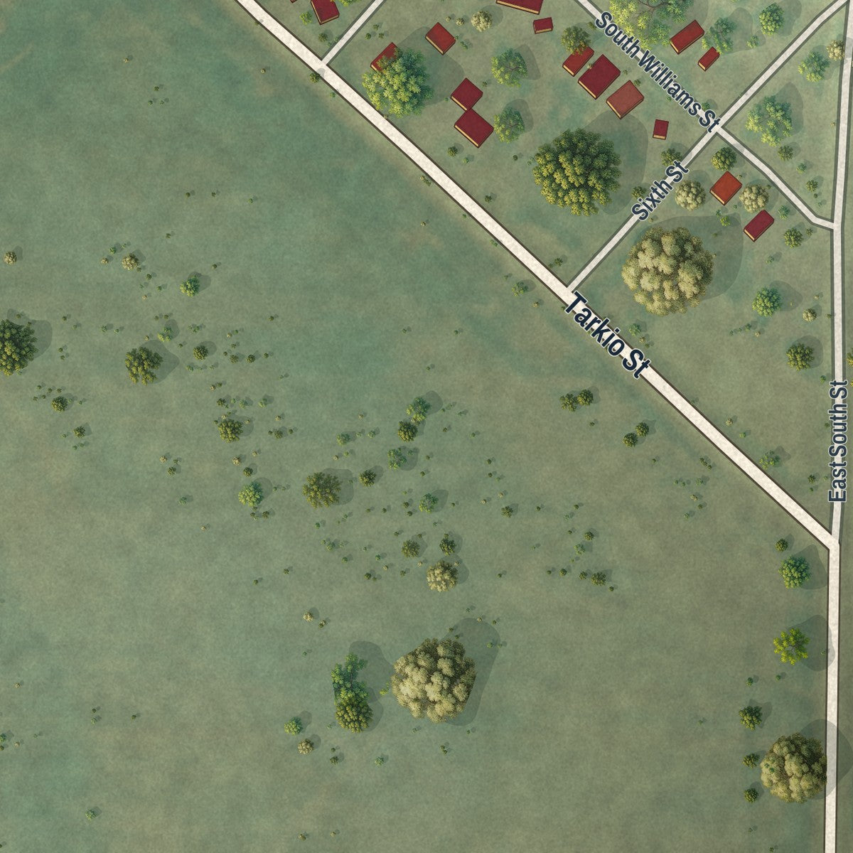 Second close-up of the map of Craig, Missouri print showing more streets and buildings