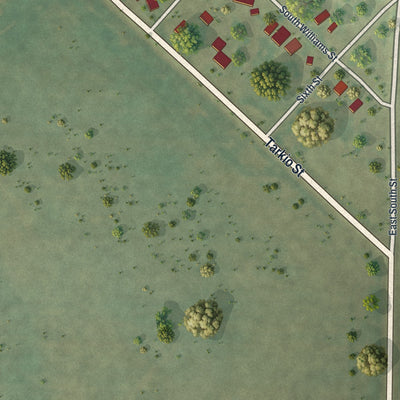 Second close-up of the map of Craig, Missouri print showing more streets and buildings