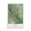 Map of Crane, Missouri, 12 x 18 inch unframed archival matte print