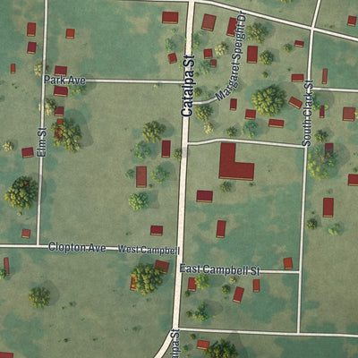 Close-up of the map of Dadeville, Missouri print showing street and building detail