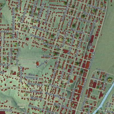 Close-up of the map of De Soto, Missouri print showing street and building detail