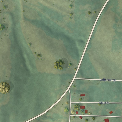 Second close-up of the map of De Witt, Missouri print showing more streets and buildings