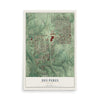 Map of Des Peres, Missouri, 12 x 18 inch unframed archival matte print