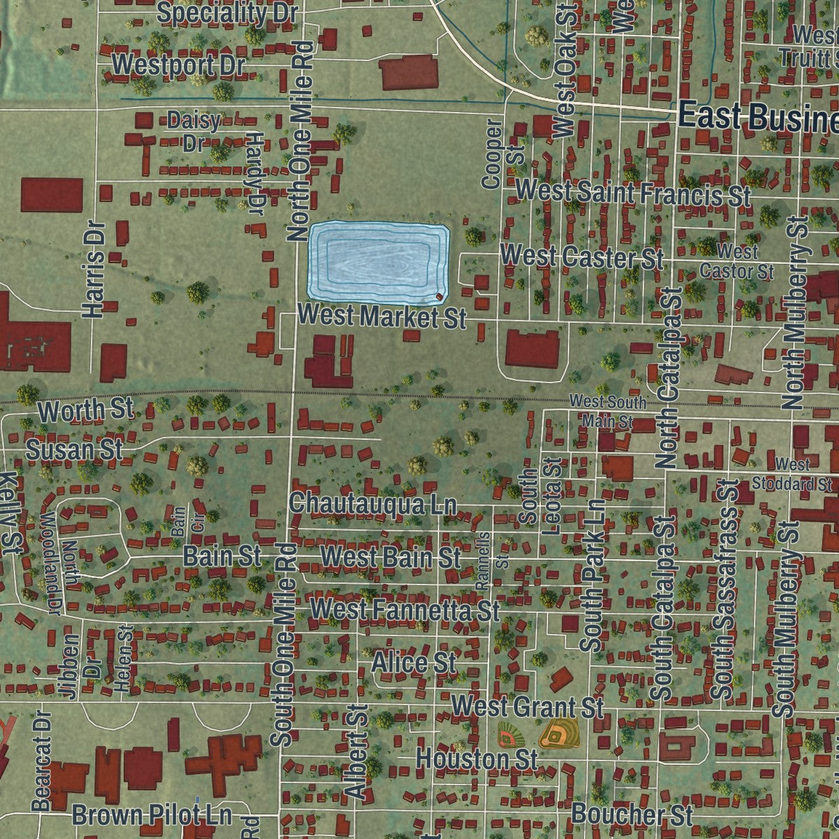 Close-up of the map of Dexter, Missouri print showing street and building detail