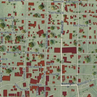 Close-up of the map of Doniphan, Missouri print showing street and building detail