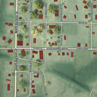 Close-up of the map of Easton, Missouri print showing street and building detail