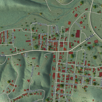 Close-up of the map of Ellington, Missouri print showing street and building detail