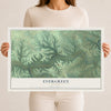 Map of Evergreen, Missouri, 12 x 18 inch unframed archival matte print