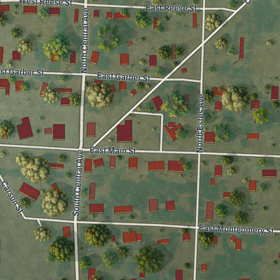 Close-up of the map of Fairview, Missouri print showing street and building detail