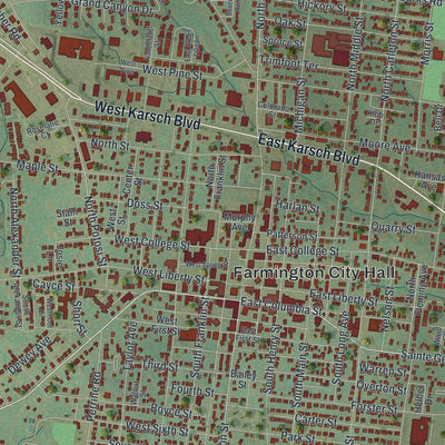 Close-up of the map of Farmington, Missouri print showing street and building detail
