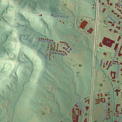 Second close-up of the map of Farmington, Missouri print showing more streets and buildings
