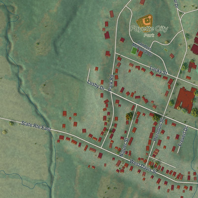 Second close-up of the map of Fayette, Missouri print showing more streets and buildings
