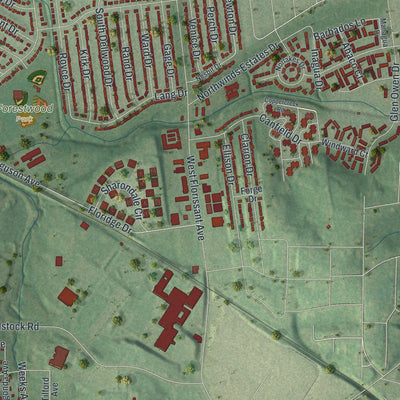 Second close-up of the map of Ferguson, Missouri print showing more streets and buildings