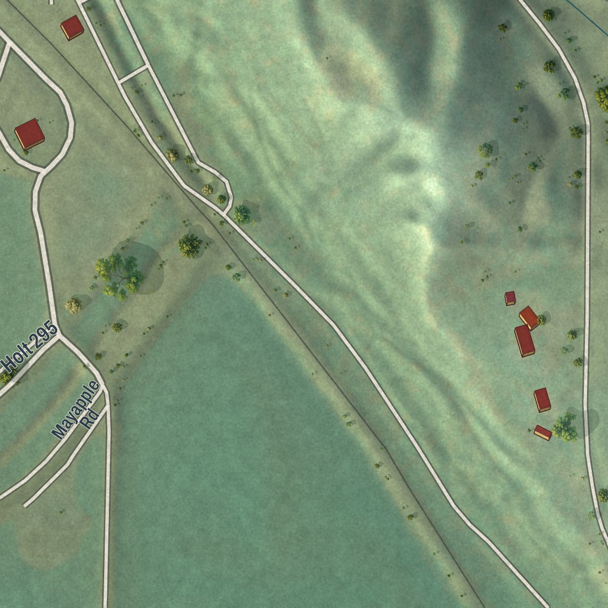 Second close-up of the map of Forest City, Missouri print showing more streets and buildings