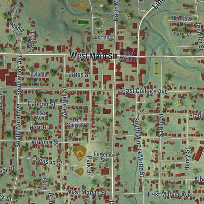 Close-up of the map of Fredericktown, Missouri print showing street and building detail