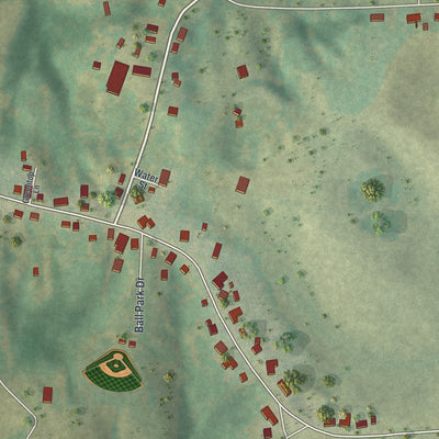 Close-up of the map of Frohna, Missouri print showing street and building detail