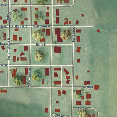 Close-up of the map of Galt, Missouri print showing street and building detail