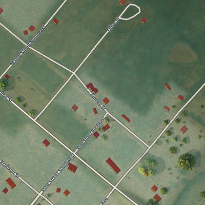 Close-up of the map of Gibbs, Missouri print showing street and building detail