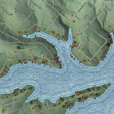 Close-up of the map of Goose Creek Lake, Missouri print showing street and building detail