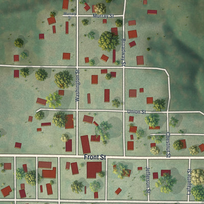 Close-up of the map of Green Castle, Missouri print showing street and building detail