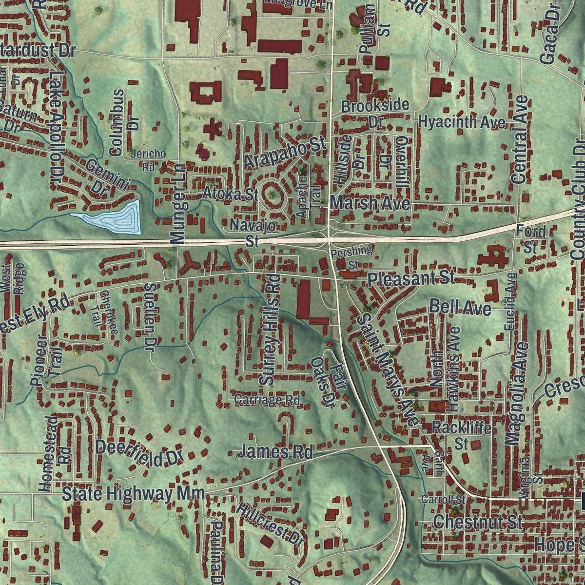 Close-up of the map of Hannibal, Missouri print showing street and building detail