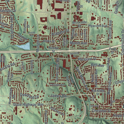 Close-up of the map of Hannibal, Missouri print showing street and building detail