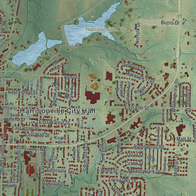 Close-up of the map of Harrisonville, Missouri print showing street and building detail