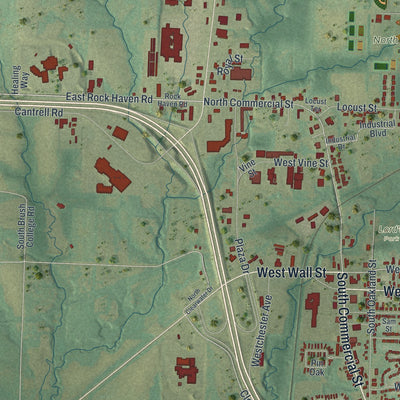 Second close-up of the map of Harrisonville, Missouri print showing more streets and buildings