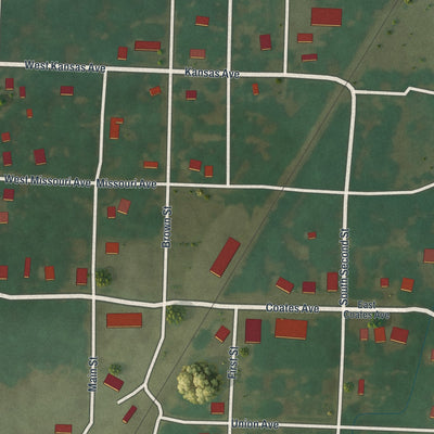 Close-up of the map of Harwood, Missouri print showing street and building detail