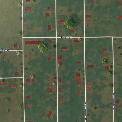 Close-up of the map of Hayti Heights, Missouri print showing street and building detail