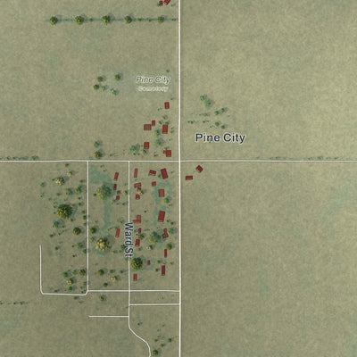 Second close-up of the map of Holcomb, Missouri print showing more streets and buildings