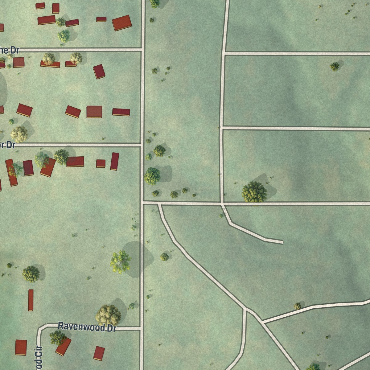 Close-up of the map of Homestead, Missouri print showing street and building detail