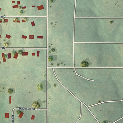 Close-up of the map of Homestead, Missouri print showing street and building detail