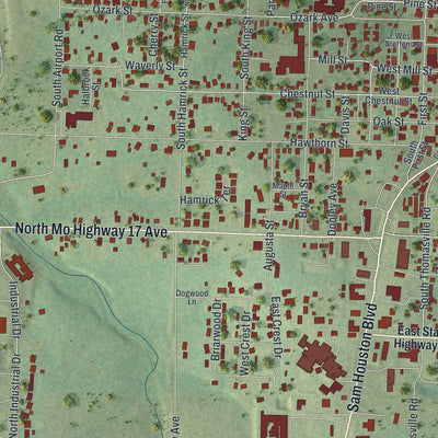 Close-up of the map of Houston, Missouri print showing street and building detail