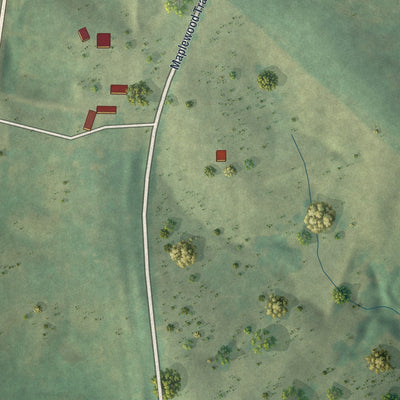 Second close-up of the map of Irena, Missouri print showing more streets and buildings