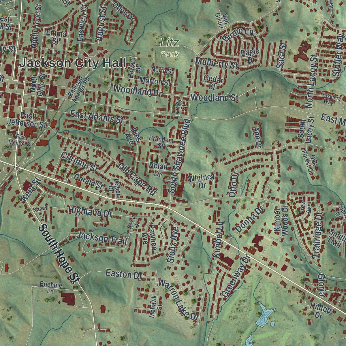 Close-up of the map of Jackson, Missouri print showing street and building detail