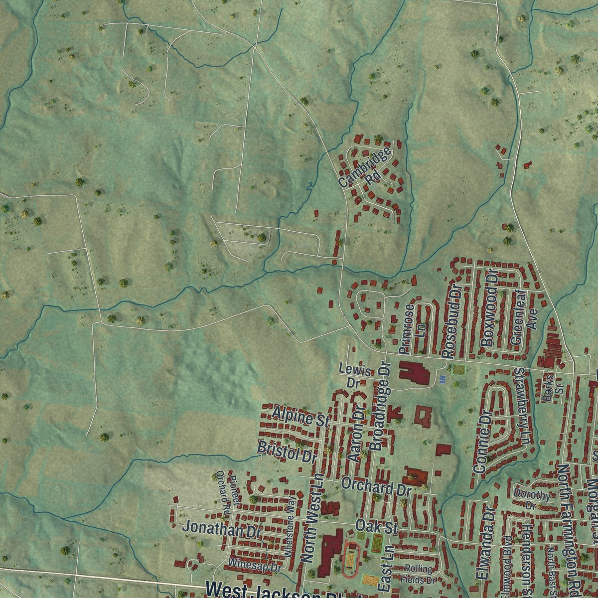 Second close-up of the map of Jackson, Missouri print showing more streets and buildings
