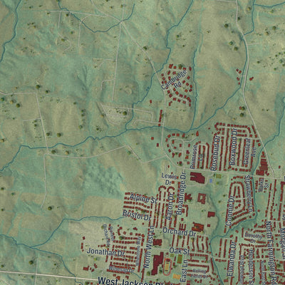 Second close-up of the map of Jackson, Missouri print showing more streets and buildings