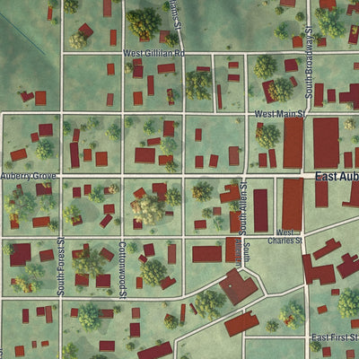 Close-up of the map of Jamesport, Missouri print showing street and building detail