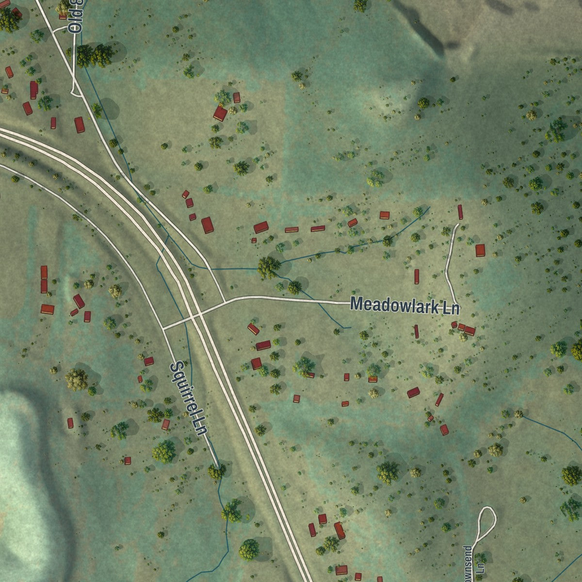 Second close-up of the map of Jane, Missouri print showing more streets and buildings