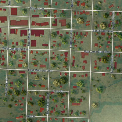 Close-up of the map of Jasper, Missouri print showing street and building detail