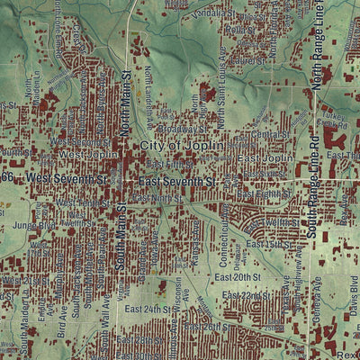Close-up of the map of Joplin, Missouri print showing street and building detail