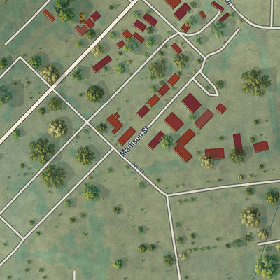 Close-up of the map of Junction City, Missouri print showing street and building detail