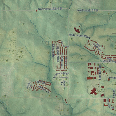 Second close-up of the map of Kearney, Missouri print showing more streets and buildings