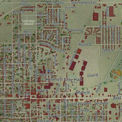 Close-up of the map of Kennett, Missouri print showing street and building detail